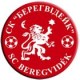Берегвідейк
